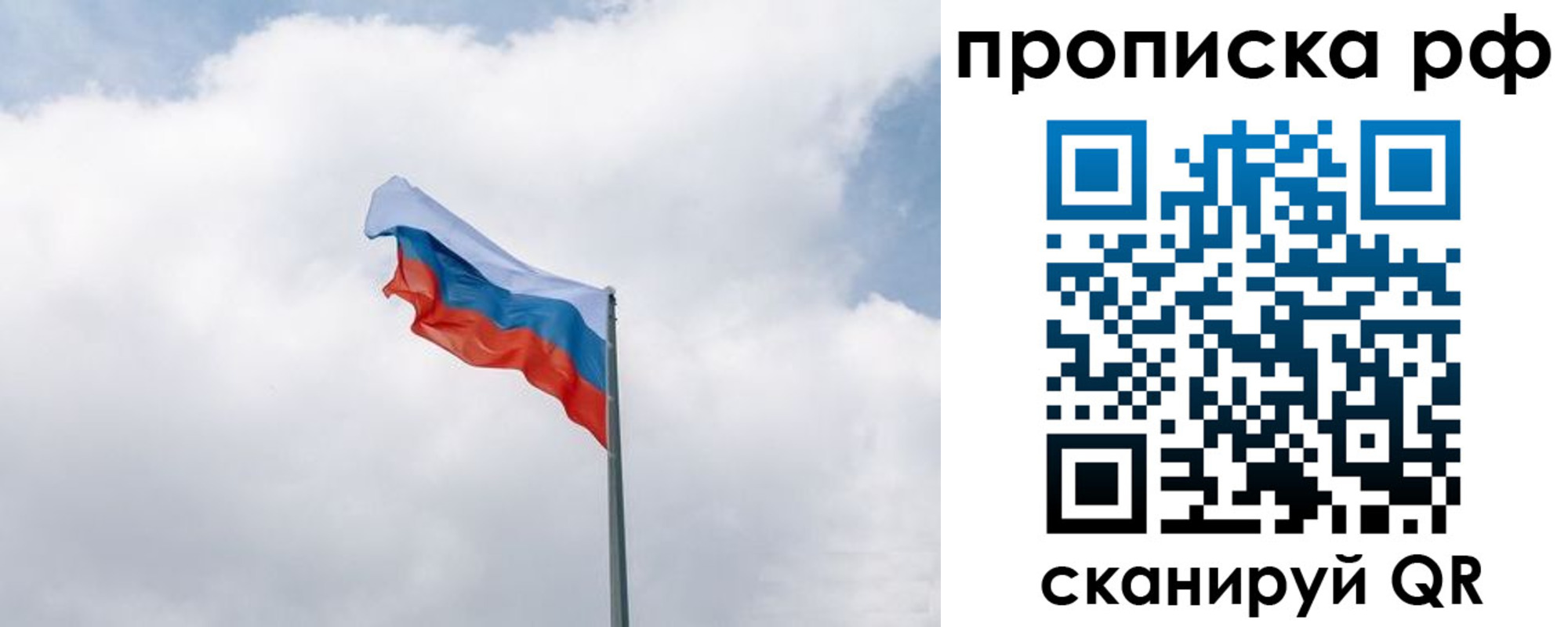 прописка гарантия в Светлом